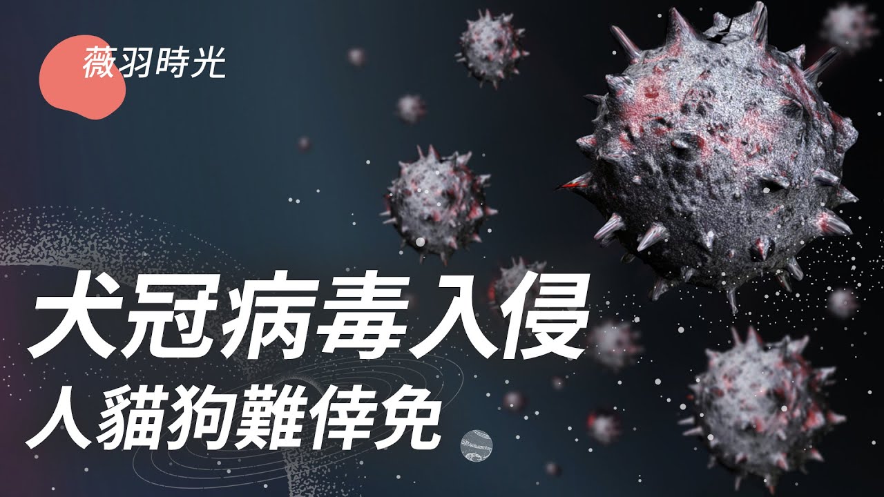 [ID: 2E5zcxLwYBc] Youtube Automatic