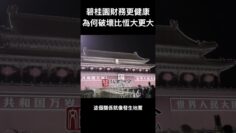 [ID: mWLinp_yPLE] Youtube Automatic