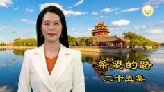 [ID: B-v-w9GnGZQ] Youtube Automatic