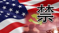 [ID: DKpeArAC8JU] Youtube Automatic