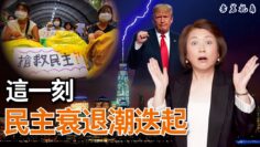 [ID: louzgD2_Ff4] Youtube Automatic