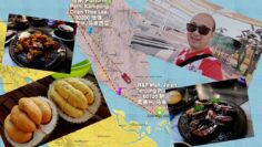 [ID: pA_MsEb2nHA] Youtube Automatic