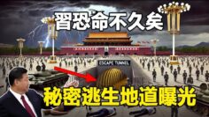 [ID: pcEFlphTaik] Youtube Automatic