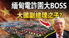 私密：[ID: 29y2-E4rc0Y] Youtube Automatic