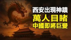 [ID: MsQrfYkWwLM] Youtube Automatic