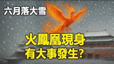 [ID: G4nCJotvTGQ] Youtube Automatic