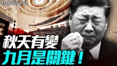 [ID: gzcftAtirsQ] Youtube Automatic