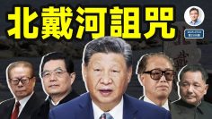 [ID: 3qNKHvYZHBg] Youtube Automatic