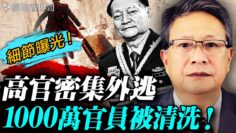 私密：[ID: 4_rXxHnSvXg] Youtube Automatic