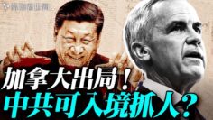 [ID: dJtd9Rgfwgs] Youtube Automatic