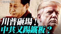 [ID: Qfn1aB2eUx0] Youtube Automatic