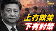 [ID: ATJP3CFWJ14] Youtube Automatic