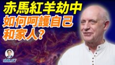 [ID: h4uUUKwTonk] Youtube Automatic