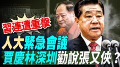 [ID: Hc8_A_S82Mk] Youtube Automatic