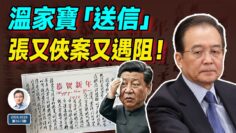 [ID: jfo2FOu6i9s] Youtube Automatic