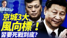 [ID: lA5V597giCc] Youtube Automatic