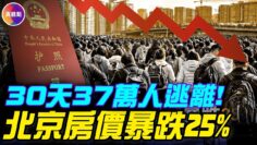 [ID: lFoI8w0Mt1s] Youtube Automatic