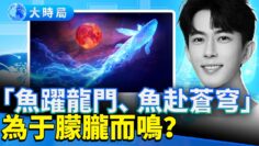 [ID: PJ-OaqliMV4] Youtube Automatic