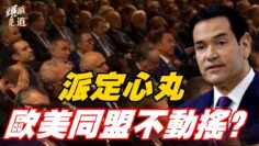 [ID: qSnYzaVhqiY] Youtube Automatic