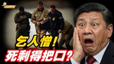 [ID: RYadWrYypDk] Youtube Automatic