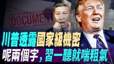 [ID: upLMXHDDcTw] Youtube Automatic