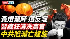 [ID: wTaib09v6Ck] Youtube Automatic