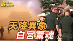 [ID: xP1u5JIVIvw] Youtube Automatic