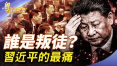 [ID: 7i-hfOx7OOo] Youtube Automatic