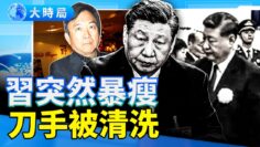 [ID: H_3DaWoMdNE] Youtube Automatic