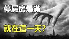 [ID: HlX2hi68lss] Youtube Automatic