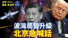 [ID: ML-53MNt8RU] Youtube Automatic