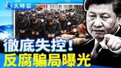 [ID: talhL-dZiPw] Youtube Automatic