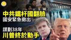 [ID: uvk3WHynT7U] Youtube Automatic