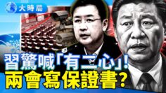 [ID: W8SfdgJeqcc] Youtube Automatic