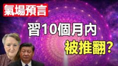 [ID: WNPiJJRD0ao] Youtube Automatic