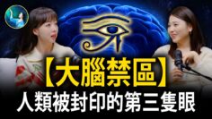 [ID: ZM2yE0uAspI] Youtube Automatic