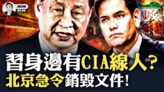 [ID: zTXiAVMWmMk] Youtube Automatic